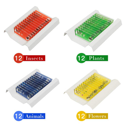 microscope slide set - 48 pcs