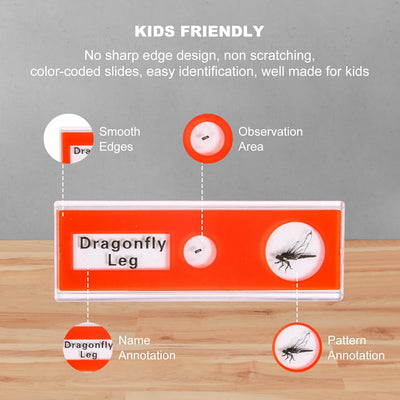 Microscope Slides Set (48pcs)