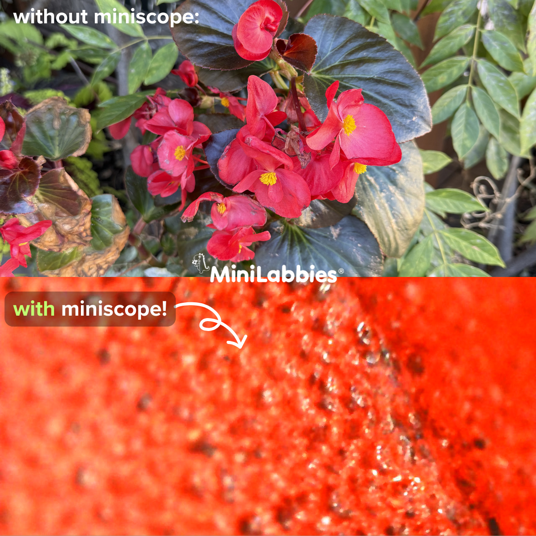 Built for curious kids.