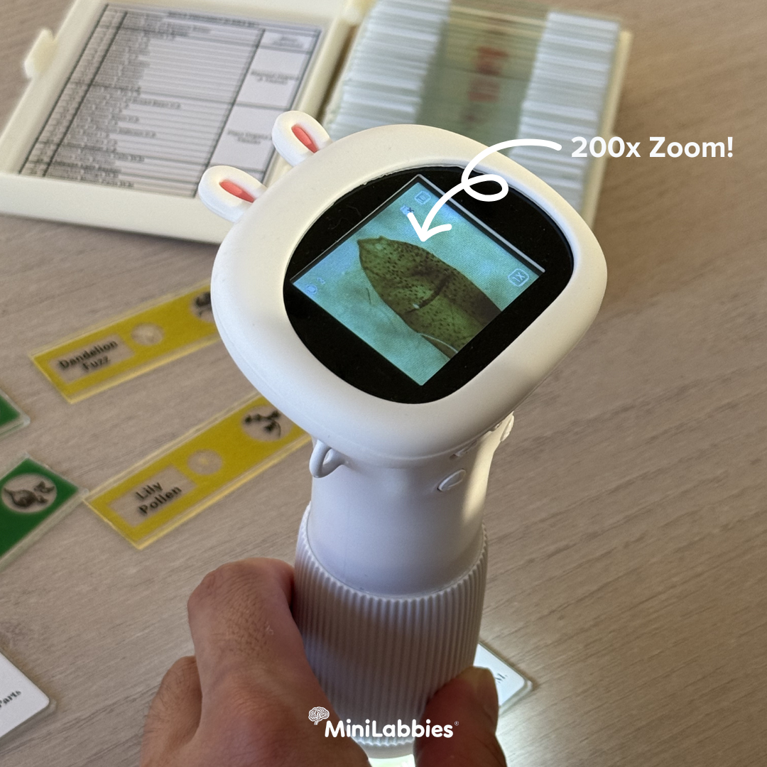 Digiscope™ - digital microscope – MiniLabbies