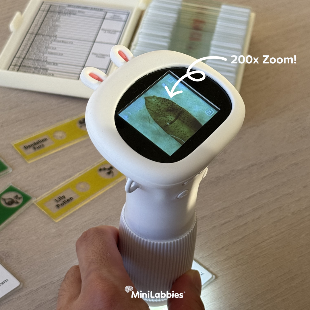 The DigiScope™ - digital microscope