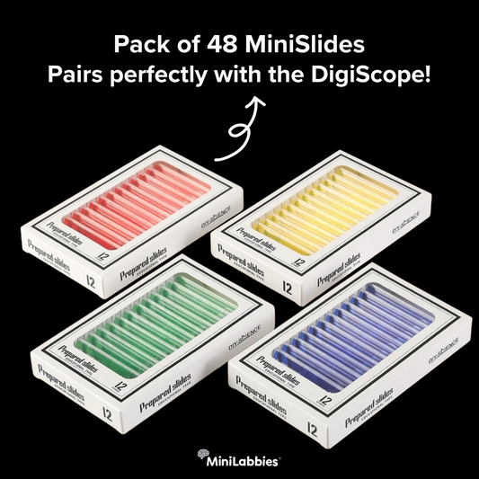 microscope slide set - 48 pcs