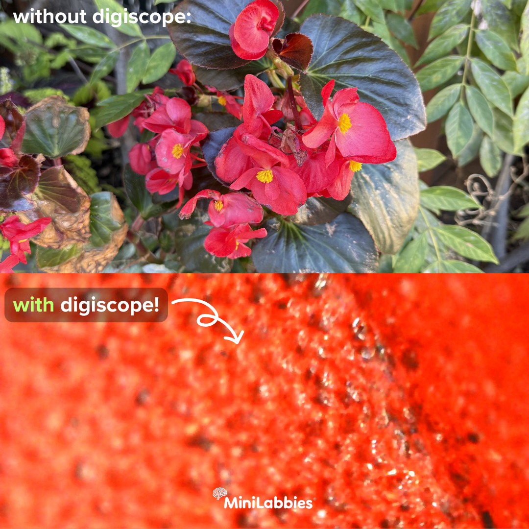 Built for curious kids.