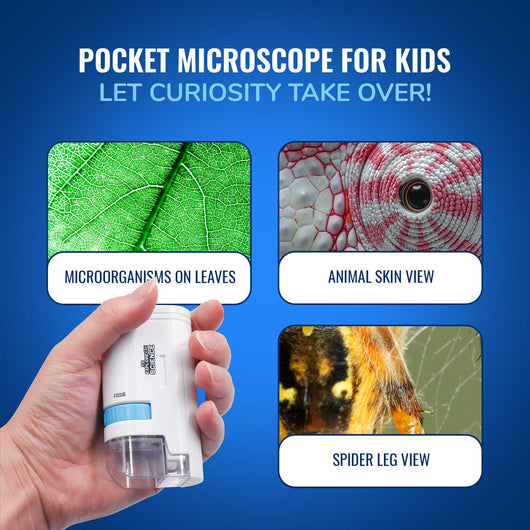 The Magnascope - Handheld Microscope