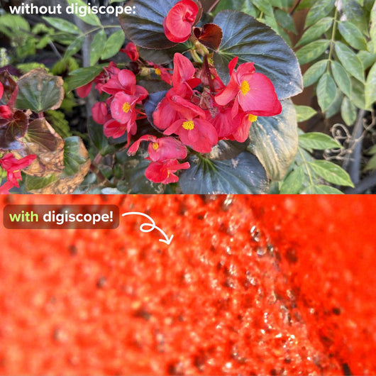 Miniscope™ - Digital Microscope